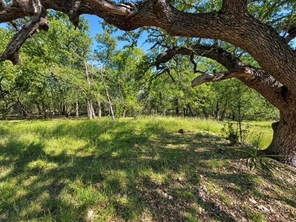 TBD Carney LN, Wimberley, TX 78676