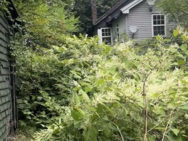 11 WILLOW STREET , SHENANDOAH, PA 17976