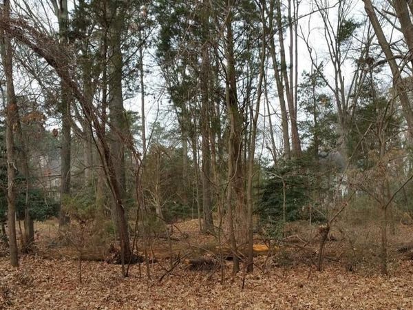 14525 HONEYSUCKLE WAY , ISSUE, MD 20645