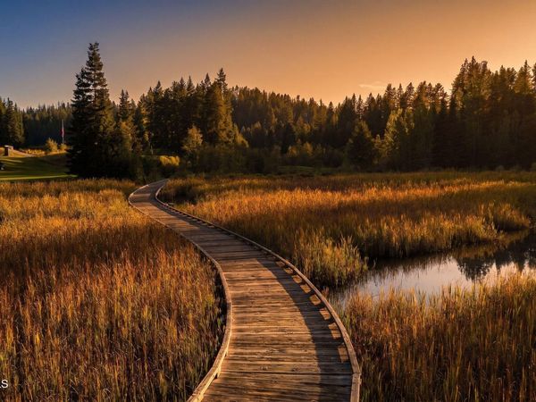 NNA Wildflower Way Blk 1 Lot 1, Sandpoint, ID 83864