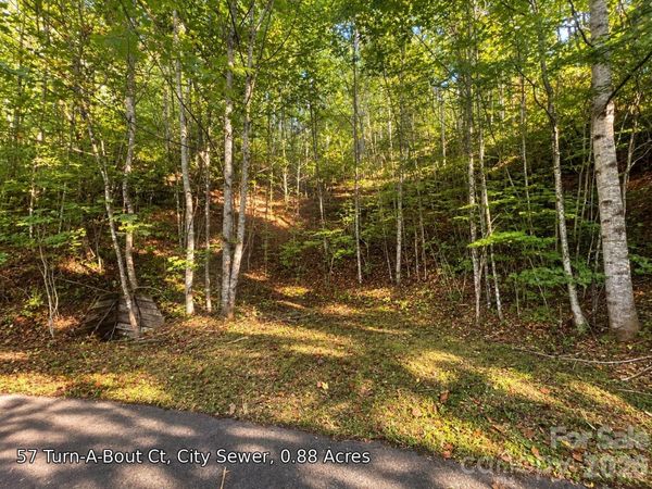 250 Turn-A-Bout Court , Maggie Valley, NC 28785