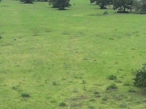 TBD CR 127 Lot 1, Block 1 County Road 127 RD, Ledbetter, TX 78946