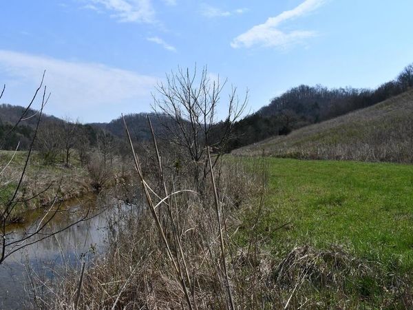 349.94 Ac Dry Mill Creek And Tick Roads, Hilham, TN 93856