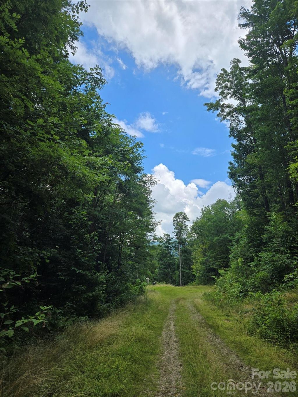 102 Tenderfoot Trail, Maggie Valley, NC 28751 Main Photo
