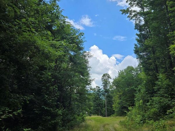 102 Tenderfoot Trail , Maggie Valley, NC 28751