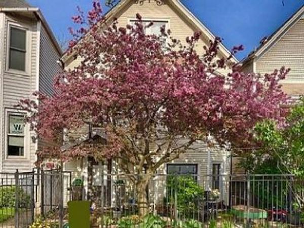 3745 N SEMINARY Avenue , Unit 1, Chicago, IL 60613