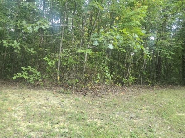 0 Calico Ln , Crawford, TN 38554