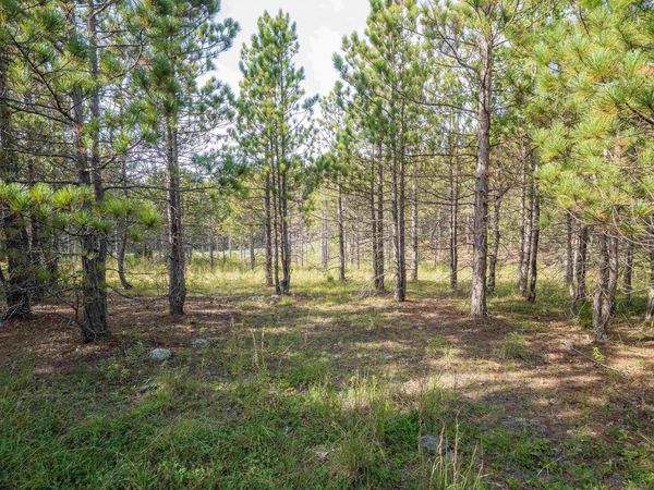 3 Crosscut Way, Davis, WV 26260