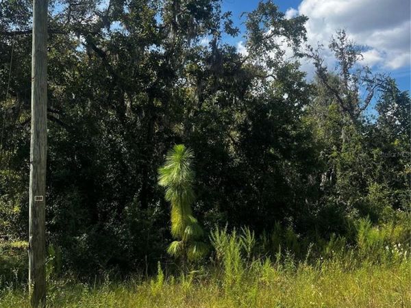 0 CRIDER ROAD , WEEKI WACHEE, FL 34614