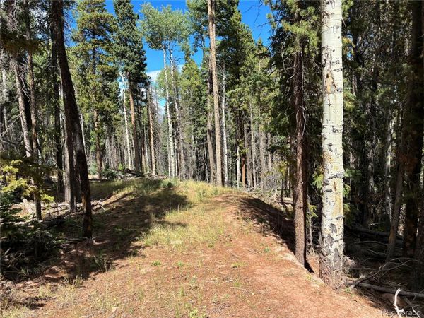 LOT 2380 Benton Road , Fort Garland, CO 81133