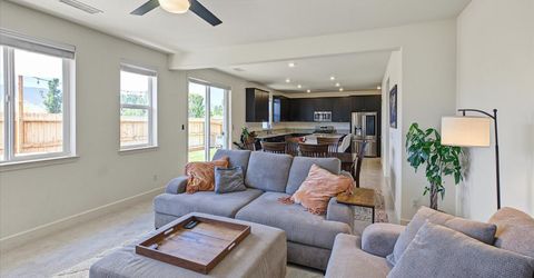 1098 Dapple Drive, Minden, NV 89423 Photo