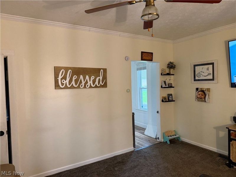 115 S. Market Street, Girard, OH 44420 Photo 15