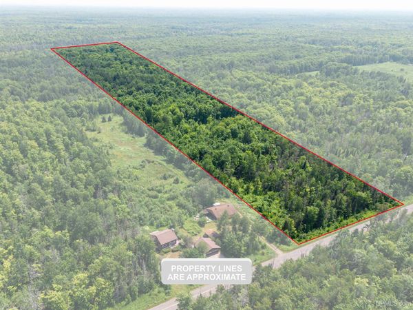 20 Acres TBD DUKES Road, Skandia Twp, MI 49885