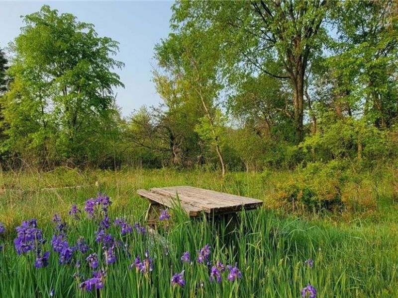 VL Ameer Drive, Oakwood Village, OH 44146 Photo 4