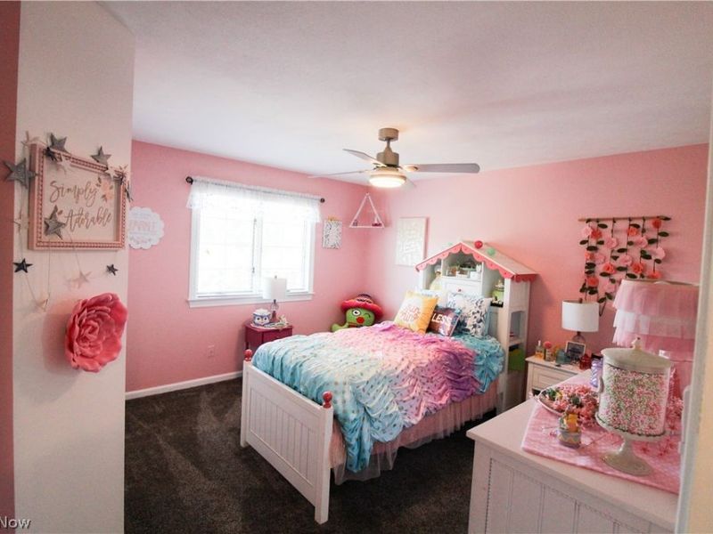 262 Topaz Circle, Canfield, OH 44406 Photo 41
