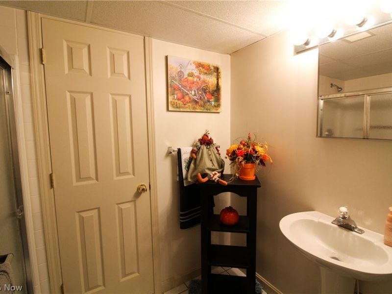 262 Topaz Circle, Canfield, OH 44406 Photo 46