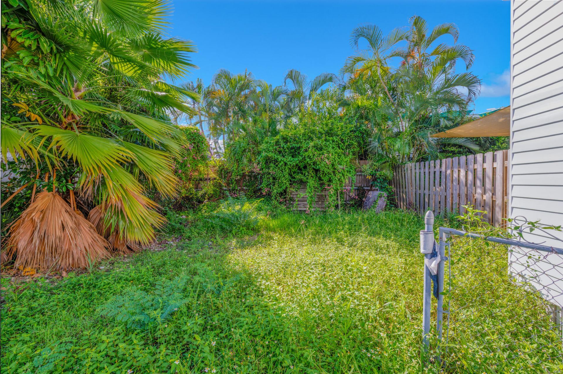 316 Virginia Street, Key West, FL 33040 Photo