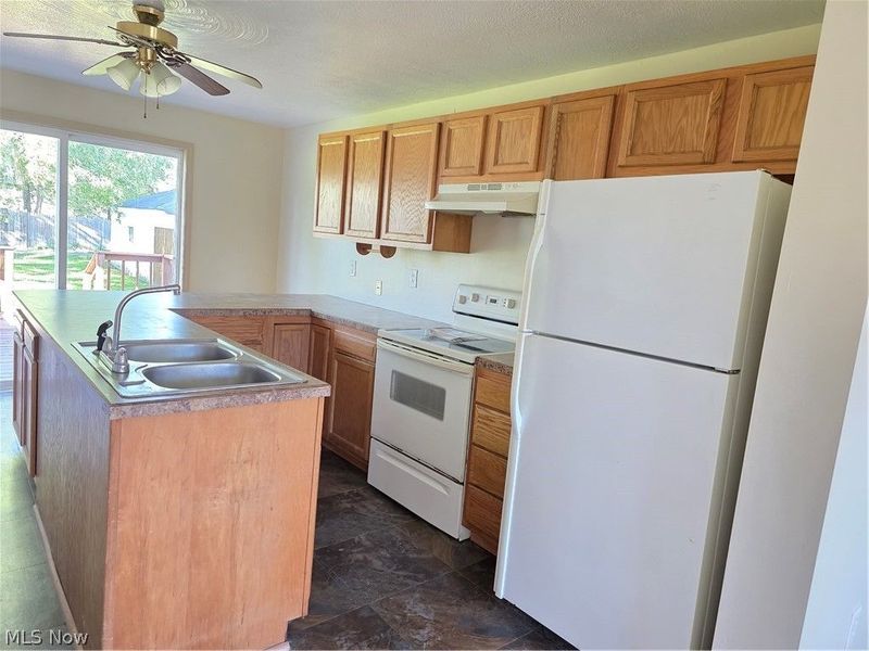 489 Columbia Street, Leetonia, OH 44431 Photo 3