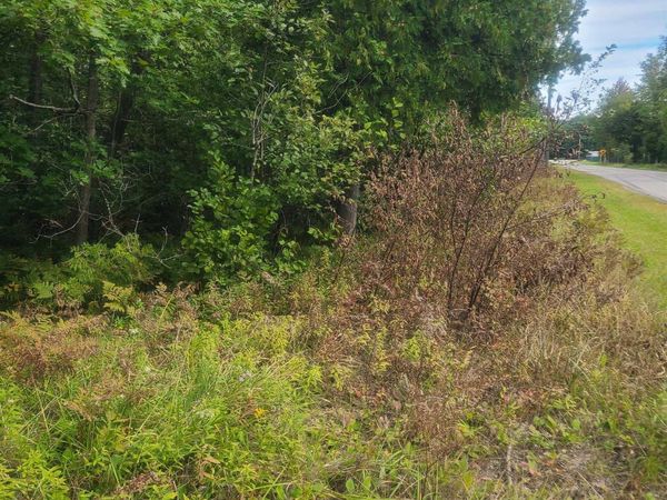 Martel Road W, Greenbush, MI 48738