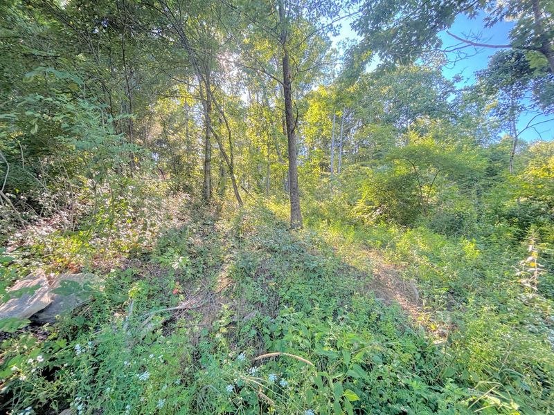 3664 Fiskburg Road, Morning View, KY 41063 Photo 15