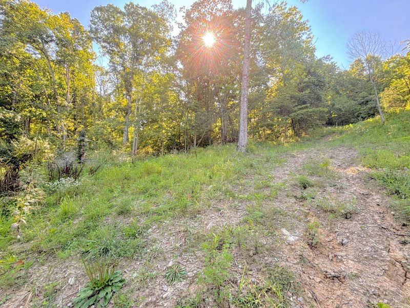 3664 Fiskburg Road, Morning View, KY 41063 Photo 17