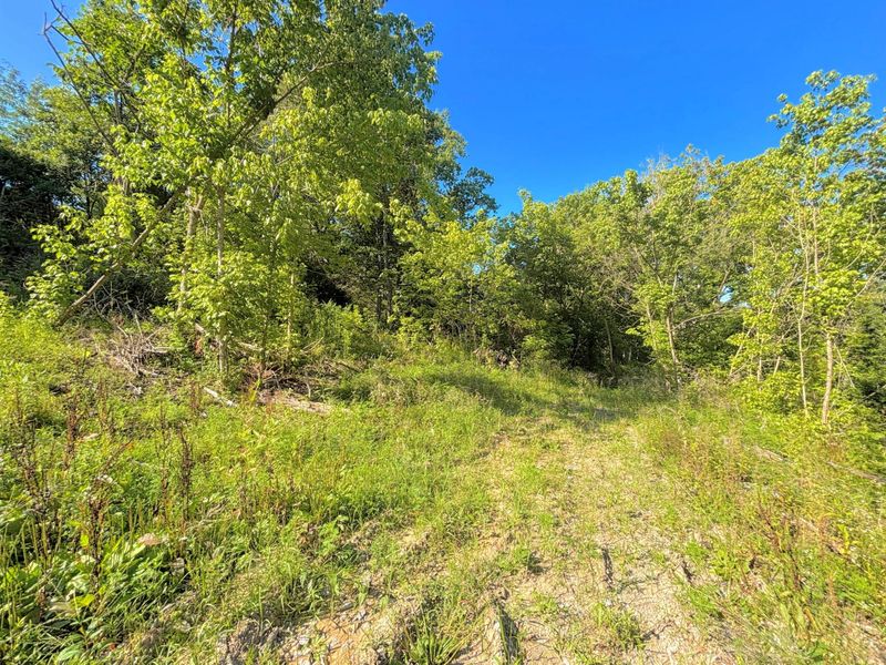 3664 Fiskburg Road, Morning View, KY 41063 Photo 18