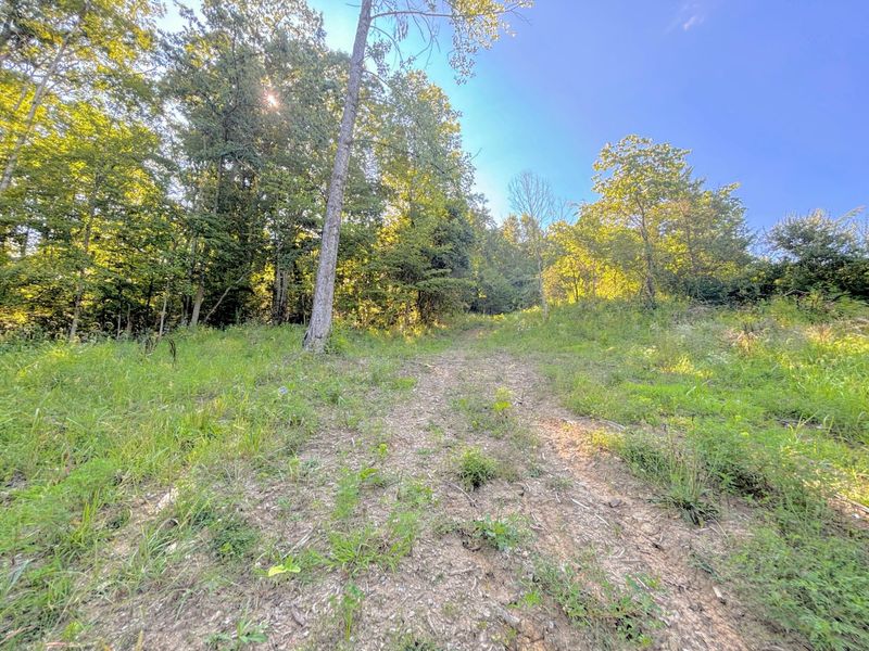 3664 Fiskburg Road, Morning View, KY 41063 Photo 20