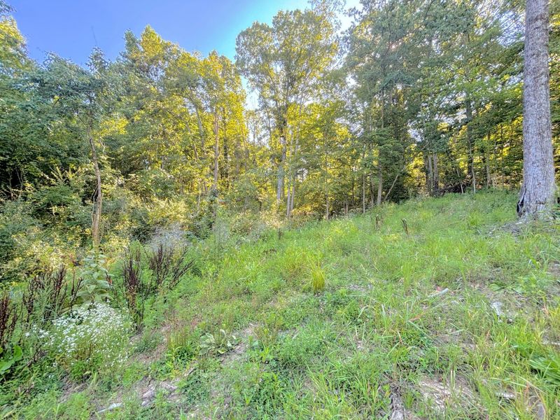 3664 Fiskburg Road, Morning View, KY 41063 Photo 21