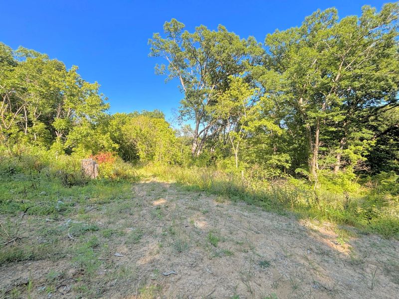 3664 Fiskburg Road, Morning View, KY 41063 Photo 22