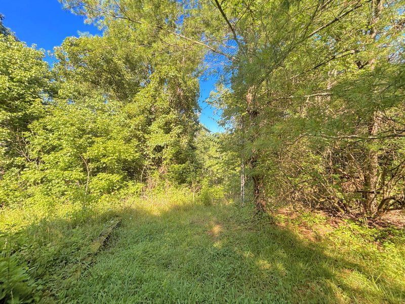 3664 Fiskburg Road, Morning View, KY 41063 Photo 28