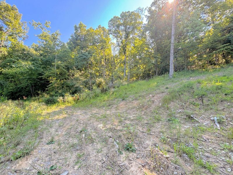 3664 Fiskburg Road, Morning View, KY 41063 Photo 35