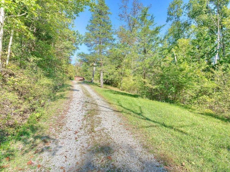 3664 Fiskburg Road, Morning View, KY 41063 Photo 4