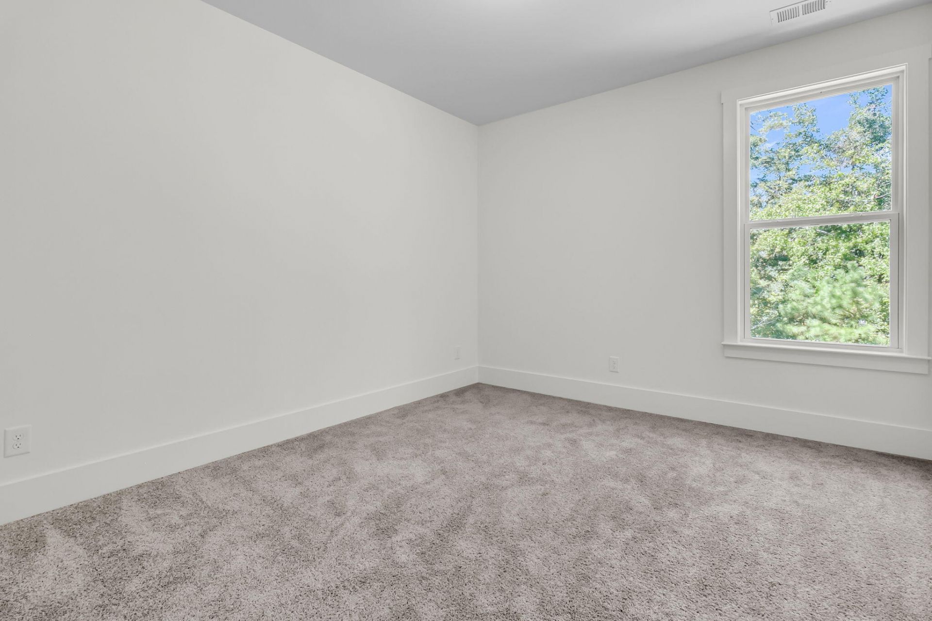 1013 Field Sparrow Drive Photo 45