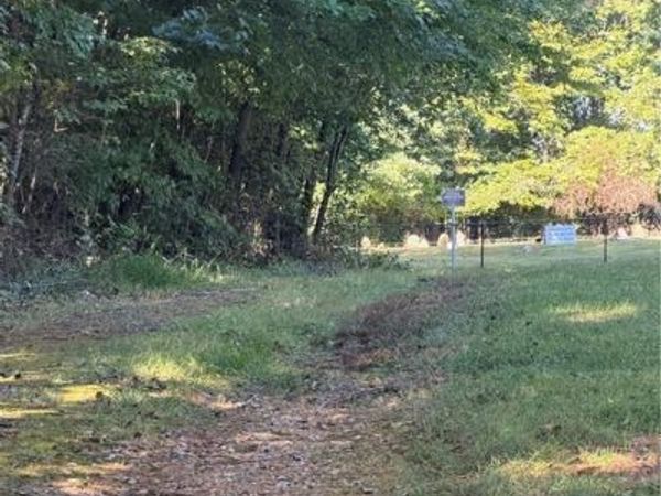 0 Soapstone Mountain Road, Liberty, NC 27298