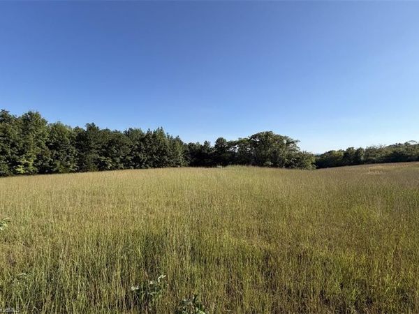 0 Soapstone Mountain Road, Liberty, NC 27298