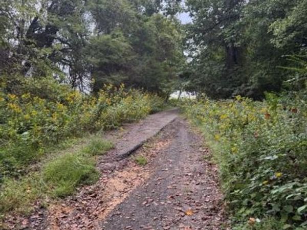 23145 LONGVIEW BOULEVARD , BUSHWOOD, MD 20618