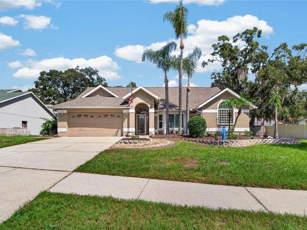 2010 RIVER PARK COURT , VALRICO, FL 33596