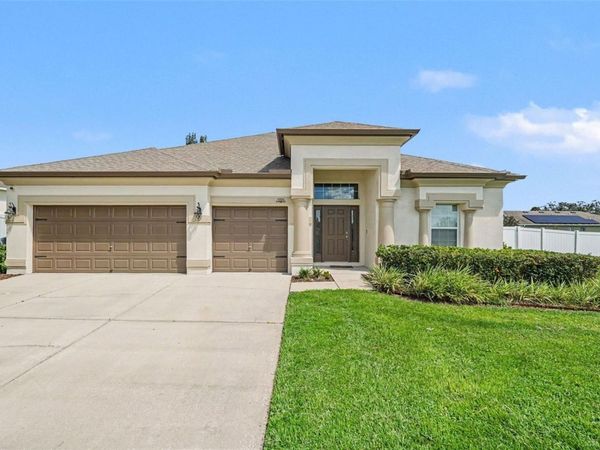 12324 LOOPBACK DRIVE , SAN ANTONIO, FL 33576