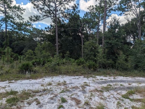 XXX WEDGEWOOD CIRCLE , MOUNT DORA, FL 32757