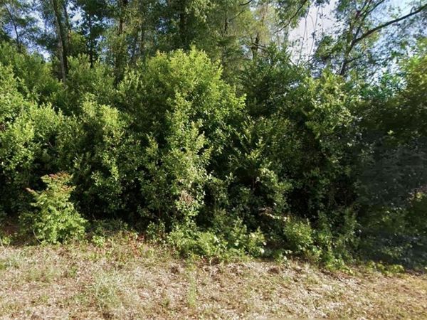 6315 E RECTOR STREET , INVERNESS, FL 34452
