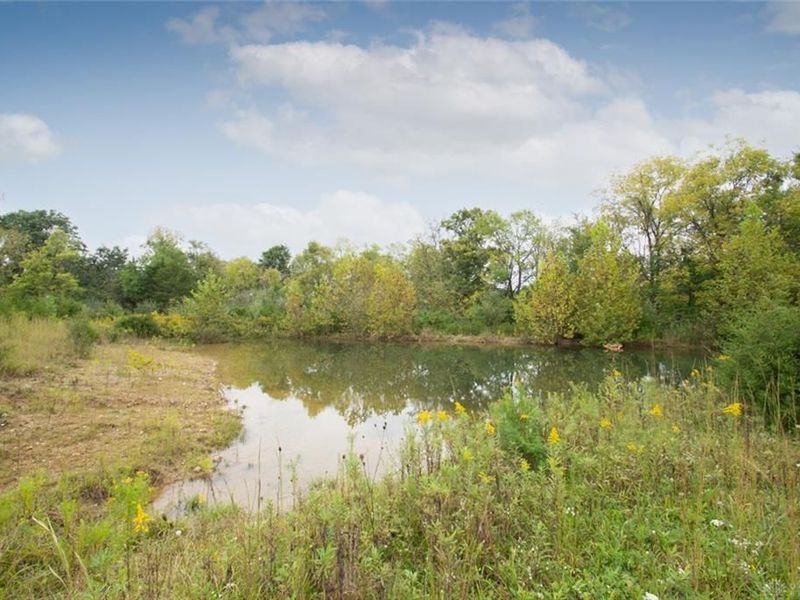 9054 E SR 732, Gratis Township, OH 45327 Photo 8