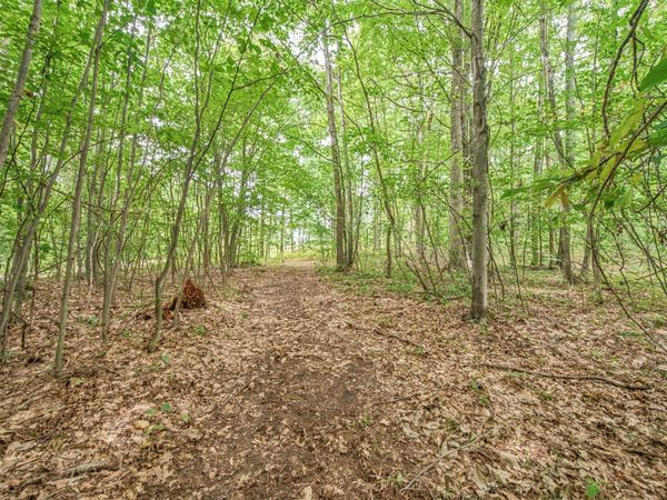 V/L 05 8 Mile Rd, Evart, MI 49631