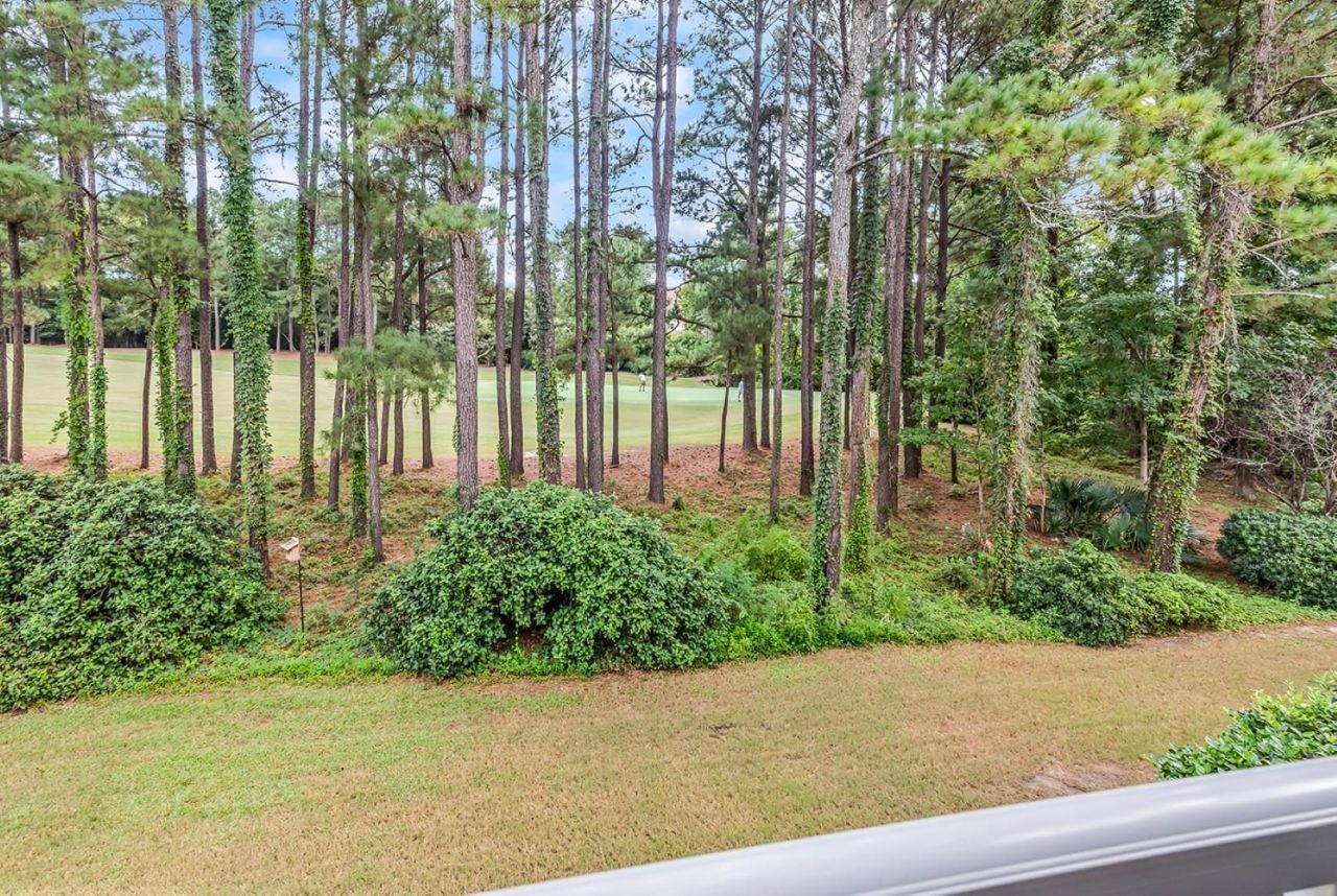 2450 Marsh Glen Dr.  Photo 47