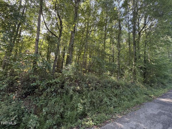 Tbd Woods Lane, Shady Valley, TN 37688