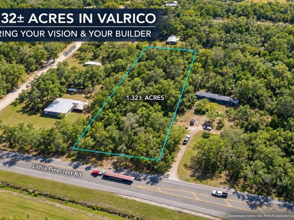 LITHIA PINECREST ROAD , VALRICO, FL 33596