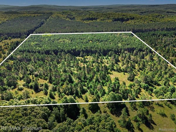 V/L BLACK BERRY TRAIL , Readmond Township, Mi 49769