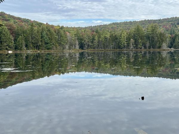 Forrester Road, Jamaica, VT 05343