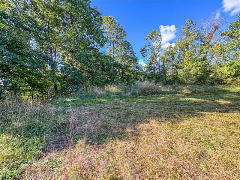 0 SE Kleski Road, Uhrichsville, OH 44683 Photo 12