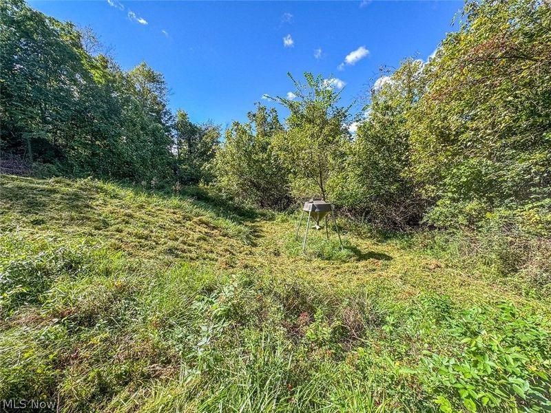 0 SE Kleski Road, Uhrichsville, OH 44683 Photo 15