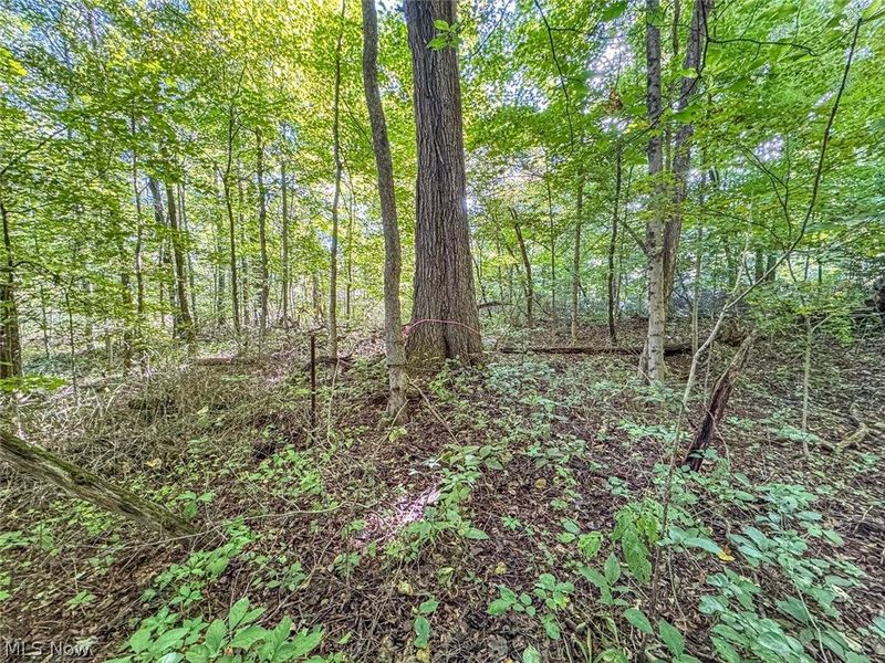 0 SE Kleski Road, Uhrichsville, OH 44683 Photo 17